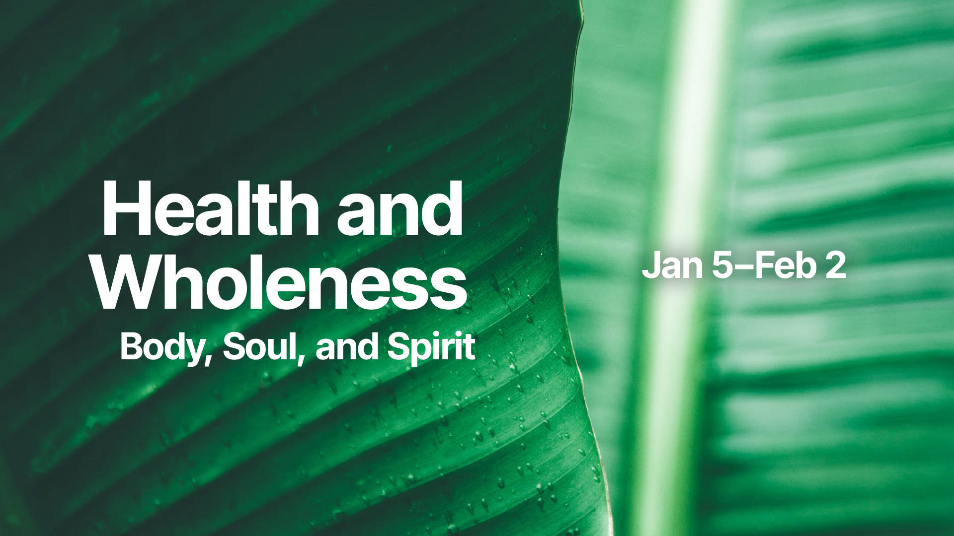 Health and Wholeness in Your Body, Soul, & Spirit